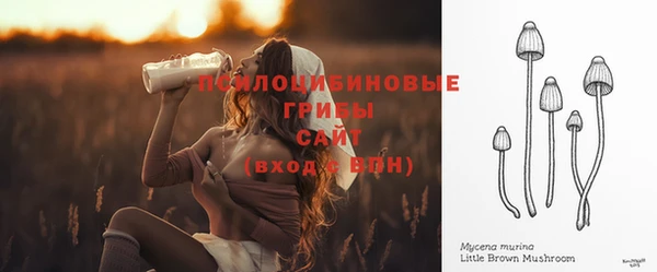 гидропоника Малоархангельск