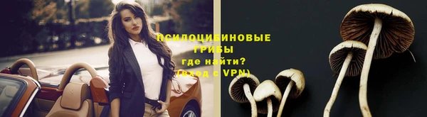 гашик Покачи