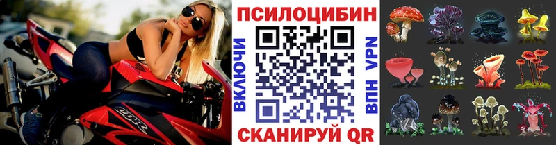Псилоцибиновые грибы прущие грибы  Пущино 